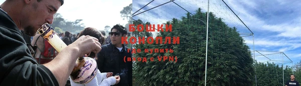 прущие крисы Кулебаки