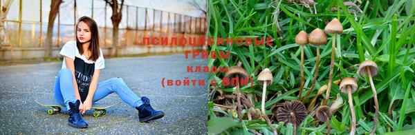 дурь Куйбышев