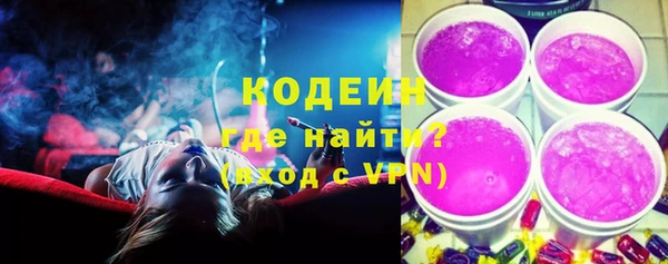 дурь Лабытнанги